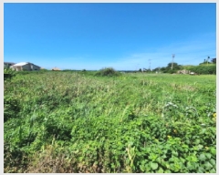  2025Ÿ��30332  �����