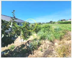  2025Ÿ��30332  �����