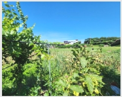  2025Ÿ��30332  �����