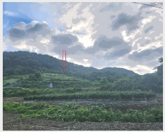  2025Ÿ��30335  �����