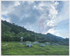  2025Ÿ��30335  �����