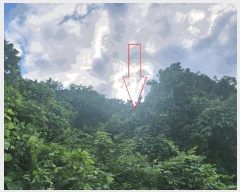  2025Ÿ��30335  �����