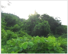  2025Ÿ��30335  �����