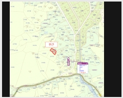  2025Ÿ��30335  �����