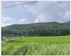  2025Ÿ��30357  �Ӿ߰��