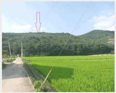  2025Ÿ��30357  �Ӿ߰��