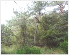  2025Ÿ��30357  �Ӿ߰��