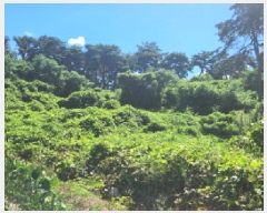  2025Ÿ��30379  �����