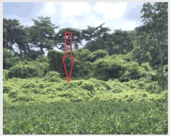  2025Ÿ��30379  �����