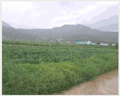  2025Ÿ��30392  ����