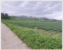  2025Ÿ��30392  ����