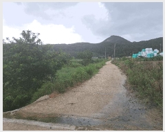  2025Ÿ��30392  ����