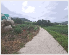  2025Ÿ��30392  ����