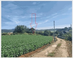  2025Ÿ��30397 ���� �ξȱ� ���ȸ� ���Լ��� 521-1      ����(��1)���