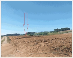  2025Ÿ��30397 ���� �ξȱ� ���ȸ� ���Լ��� 521-1      ����(��1)���