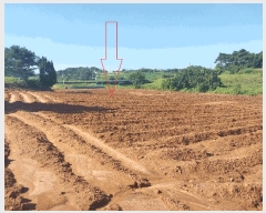  2025Ÿ��30397 ���� �ξȱ� ���ȸ� ���Լ��� 521-1      ����(��1)���