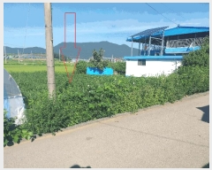  2025Ÿ��30397 ���� �ξȱ� ���ȸ� ���Լ��� 521-1      ����(��1)���