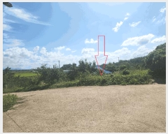  2025Ÿ��30404 ���� �ξȱ� ������ ���帮 589-1      ����(��1)���