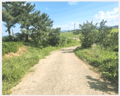  2025Ÿ��30404 ���� �ξȱ� ������ ���帮 589-1      ����(��1)���