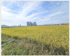  2025Ÿ��30413 ���� ������ ��ҵ� 33-91       ����(��)���