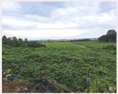  2025Ÿ��30420 ���� ��â�� �ξȸ� ������ 442      ����(����)���