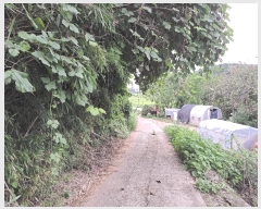  2025Ÿ��30420 ���� ��â�� �ξȸ� ������ 442      ����(����)���