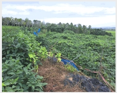  2025Ÿ��30420 ���� ��â�� �ξȸ� ������ 442      ����(����)���