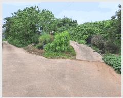  2025Ÿ��30420 ���� ��â�� �ξȸ� ������ 442      ����(����)���