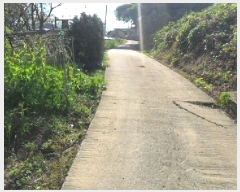  2025Ÿ��30420 ���� ��â�� �ξȸ� ������ 442      ����(����)���