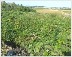  2025Ÿ��30420 ���� ��â�� �ξȸ� ������ 442      ����(����)���