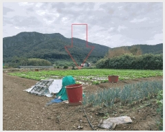  2025Ÿ��30430 ���� �ξȱ� ����� ��û�� 359      ����(��1)���