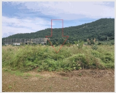  2025Ÿ��30430 ���� �ξȱ� ����� ��û�� 359      ����(��1)���