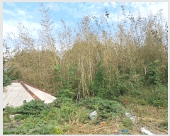  2025Ÿ��30430 ���� �ξȱ� ����� ��û�� 359      ����(��1)���