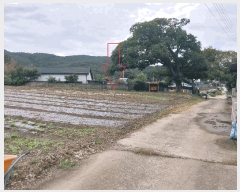  2025Ÿ��30430 ���� �ξȱ� ����� ��û�� 359      ����(��1)���