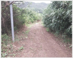  2025Ÿ��30430 ���� �ξȱ� ����� ��û�� 359      ����(��1)���