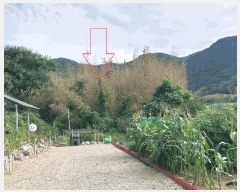  2025Ÿ��30430 ���� �ξȱ� ����� ��û�� 359      ����(��1)���