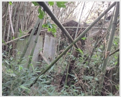  2025Ÿ��30430 ���� �ξȱ� ����� ��û�� 359      ����(��1)���