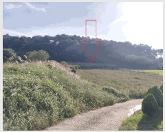  2025Ÿ��30439  �����