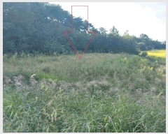  2025Ÿ��30439  �����