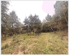  2025Ÿ��30442  �����