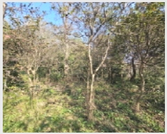  2025Ÿ��30442  �����