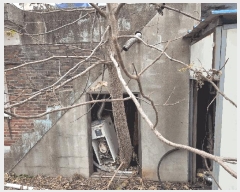  2025Ÿ��30505 ���� ������ ���� 111-40       ����(����)���