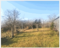  2025Ÿ��30541 ���� ��â�� �ظ��� ��ݸ� 819-14      ����(�Ӿ�)���