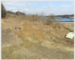  2025Ÿ69   ϸ ︮ 467      (1)