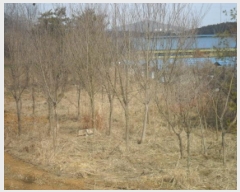  2025Ÿ69   ϸ ︮ 467      (1)