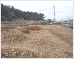  2025Ÿ177  â ϸ ڷ渮 380      (1)