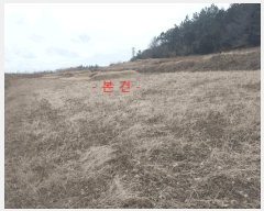  2025Ÿ177  â ϸ ڷ渮 380      (1)