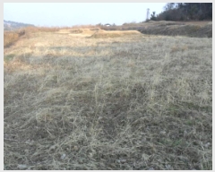  2025Ÿ177  â ϸ ڷ渮 380      (1)