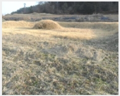  2025Ÿ177  â ϸ ڷ渮 380      (1)