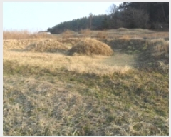  2025Ÿ177  â ϸ ڷ渮 380      (1)